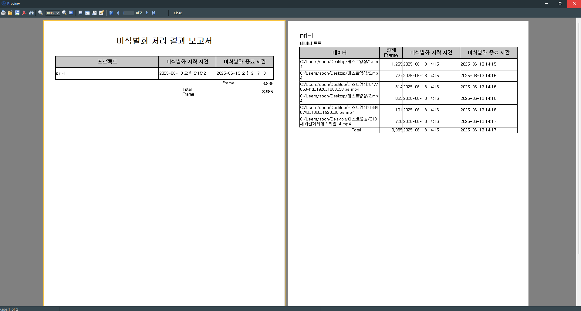 C/S 비식별화 처리 결과 보고서